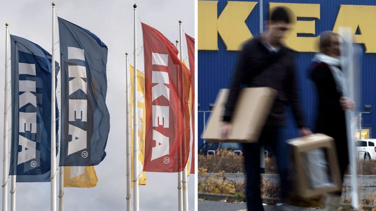 Kundens otäcka upptäckt i IKEA-möbeln: "Invaderad av.."